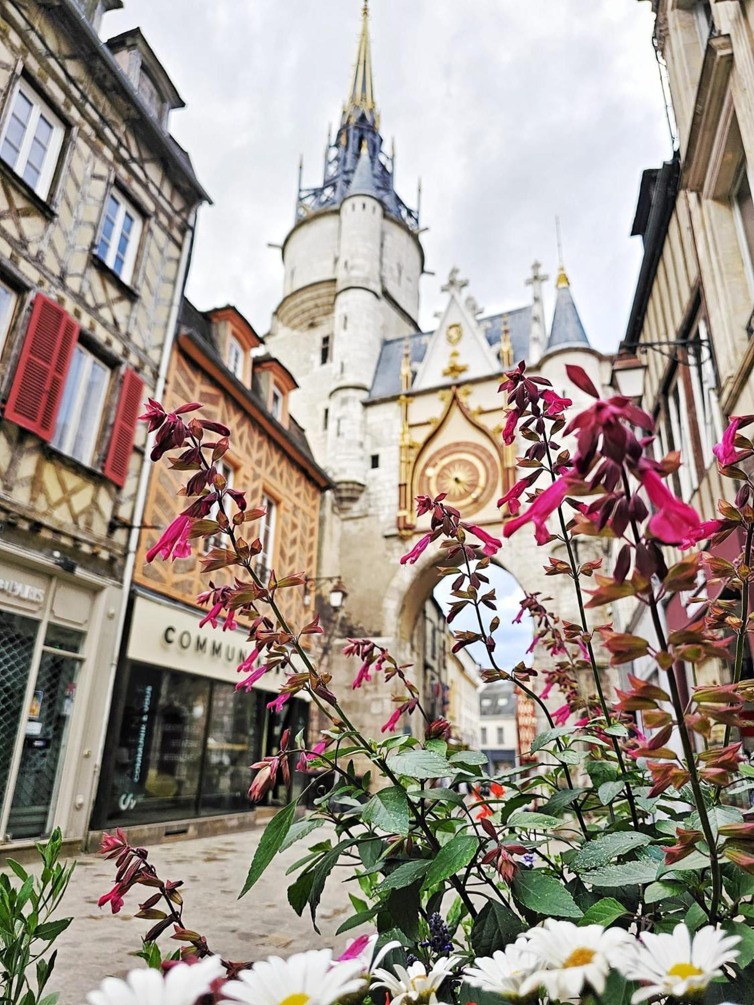 Aux'Cerfs - A Deux Pas De L'Abbaye Apartment Auxerre Bagian luar foto